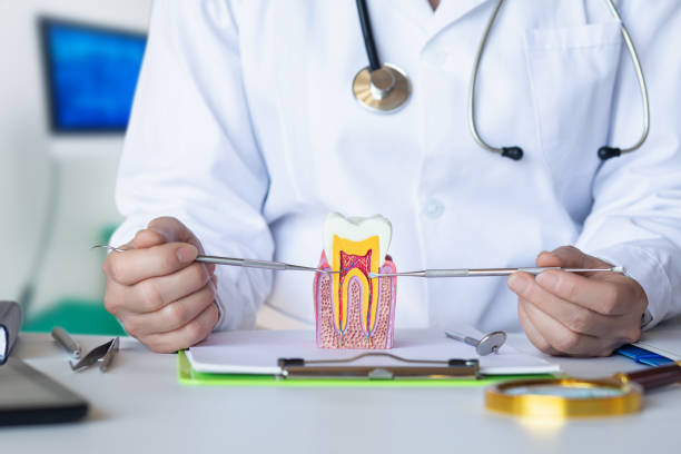 Best Emergency Denture Repair in Stevens Point, WI